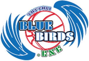 8Bird (jinjin_001)さんのプロバスケットボールチームのロゴ作成への提案