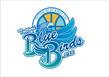 TOTTORI BLUE BIRDS01.jpg