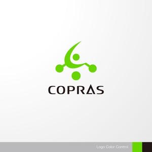 ＊ sa_akutsu ＊ (sa_akutsu)さんのサービス業に特化した会社コプラス「COPRAS」のロゴへの提案