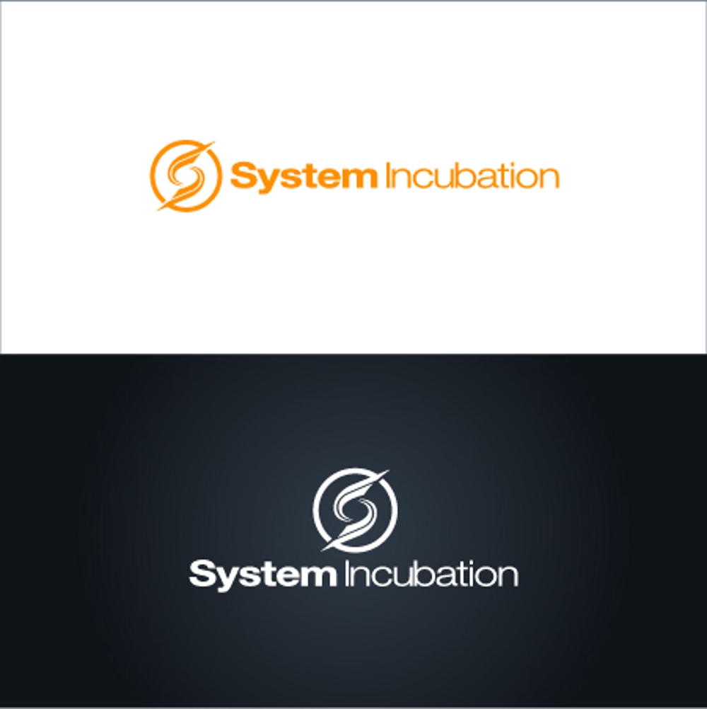 System Incubation-04.jpg