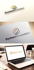 System Incubation-05.jpg
