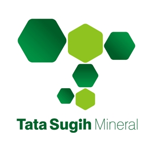 1119さんの資源開発会社『Tata Sugih Mineral』のロゴ制作への提案