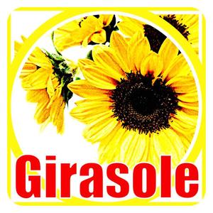 office　franc　（オフィス・フラン） ()さんの「Girasole」のロゴ作成への提案