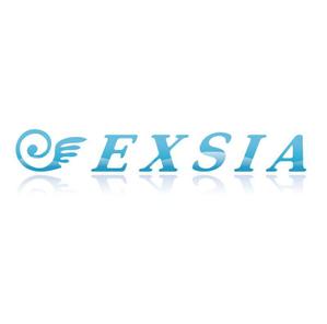 BEAR'S DESIGN (it-bear)さんの「EXSIA」のロゴ作成への提案