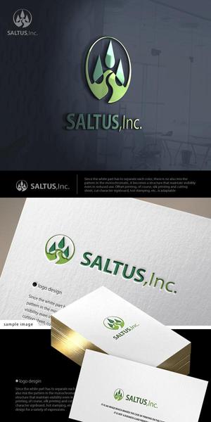 neomasu (neomasu)さんの「SALTUS」の会社ロゴ　への提案
