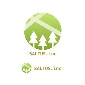 ももひき (momo_04)さんの「SALTUS」の会社ロゴ　への提案