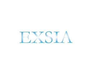 さんの「EXSIA」のロゴ作成への提案