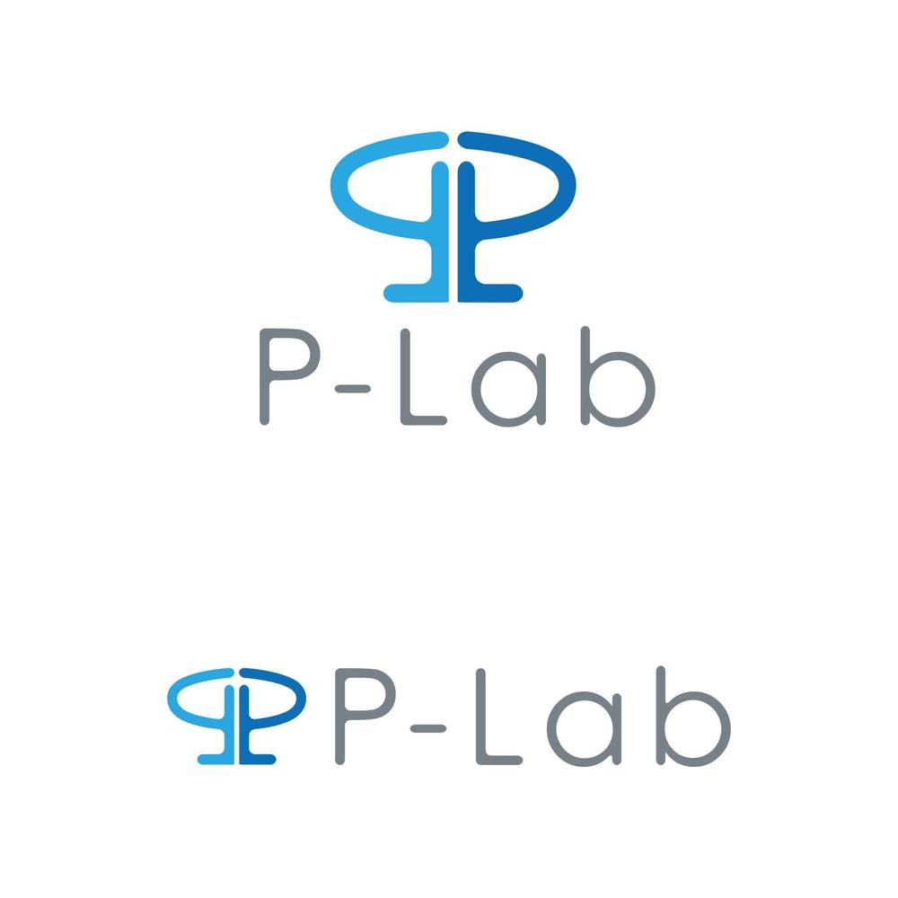 P-Lab.jpg