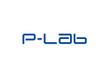 P-Lab-11.jpg