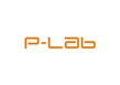 P-Lab-12.jpg