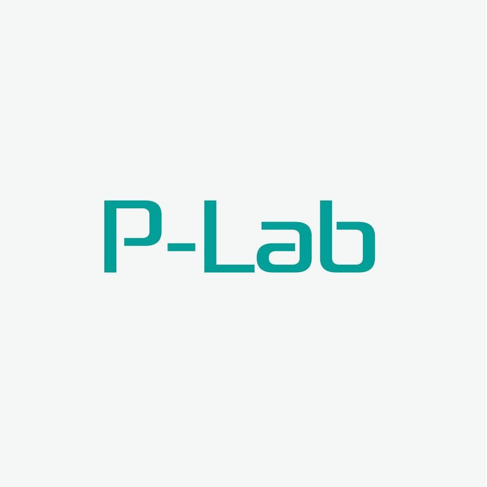 P-Lab1.jpg