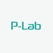 P-Lab1.jpg