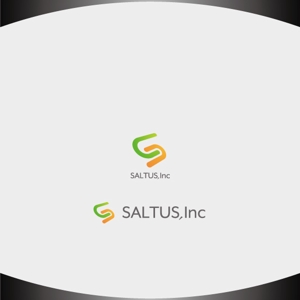 D.R DESIGN (Nakamura__)さんの「SALTUS」の会社ロゴ　への提案