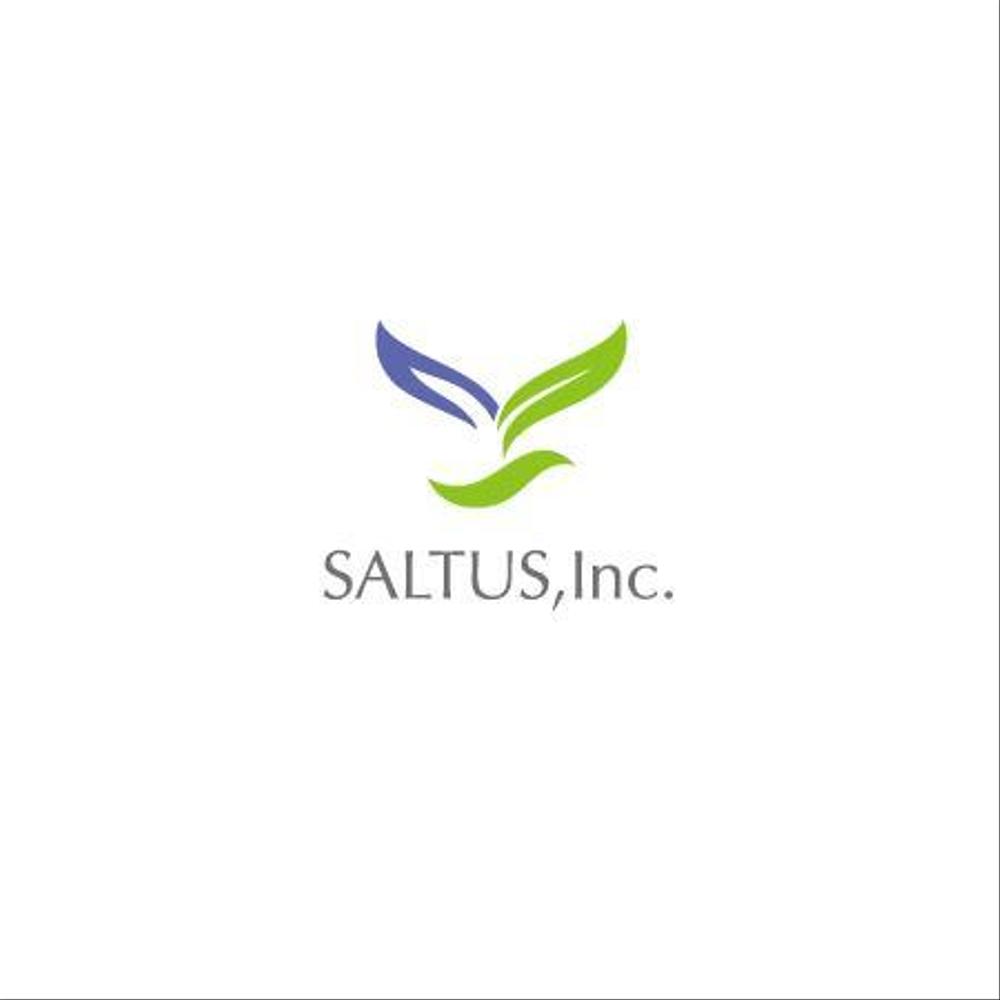 saltusinc_1a.jpg