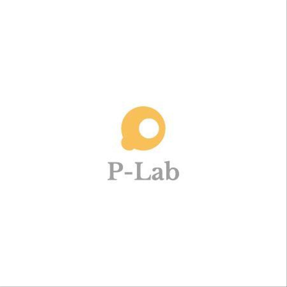 P-Lab_v0102-01.jpg