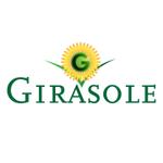 tom2design (tom2)さんの「Girasole」のロゴ作成への提案