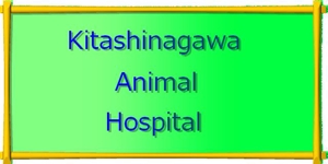 ブウタ (springjoe)さんの「北品川どうぶつ病院　　Kitashinagawa Animal Hospital 」のロゴ作成への提案