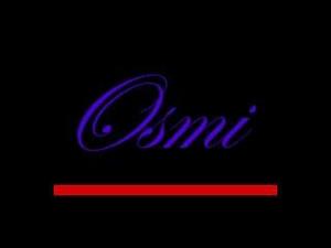 ブウタ (springjoe)さんの「OSMI」のロゴ作成への提案