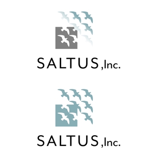 BUTTER GRAPHICS (tsukasa110)さんの「SALTUS」の会社ロゴ　への提案