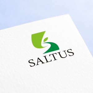 ELDORADO (syotagoto)さんの「SALTUS」の会社ロゴ　への提案