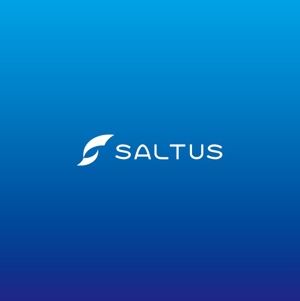 ヘッドディップ (headdip7)さんの「SALTUS」の会社ロゴ　への提案