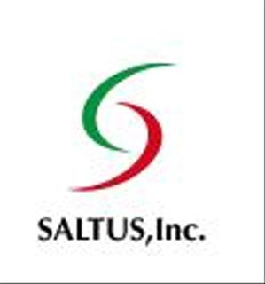 creative1 (AkihikoMiyamoto)さんの「SALTUS」の会社ロゴ　への提案