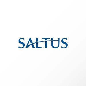 カタチデザイン (katachidesign)さんの「SALTUS」の会社ロゴ　への提案