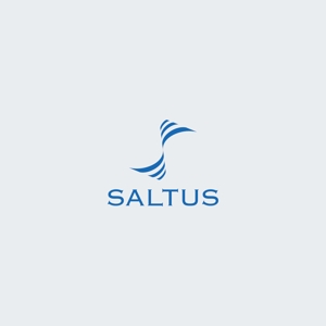 GM_DESIGN (GM_DESIGN)さんの「SALTUS」の会社ロゴ　への提案