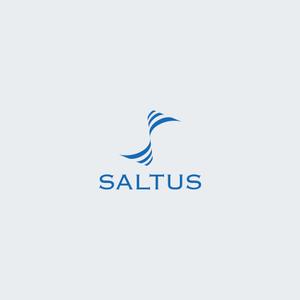 GM_DESIGN (GM_DESIGN)さんの「SALTUS」の会社ロゴ　への提案