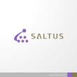 SALTUS-1-1b.jpg