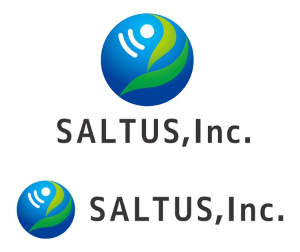 SALTUS Inc-2k.JPG