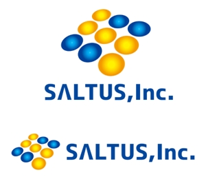 TEX597 (TEXTURE)さんの「SALTUS」の会社ロゴ　への提案