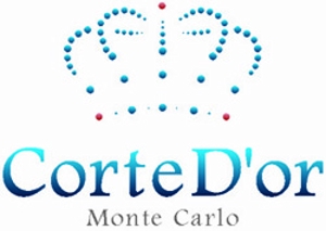 yoneさんのモナコの情報サイトおよびモナコをイメージしたブランドに使用するためのロゴ制作の依頼ですへの提案