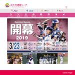 HFvision (HFvision)さんの日本女子プロ野球リーグのロゴへの提案