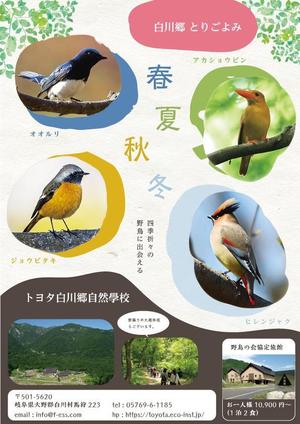 s10qm (s10qm0224)さんの季節ごとにみられる鳥がわかる　野鳥観察者向けのチラシへの提案