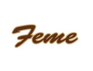 さんのイベント企画会社「Feme」のロゴ作成への提案