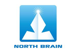 CSK.works ()さんの「NORTH BRAIN」のロゴ作成への提案