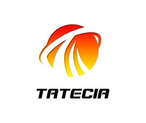 ぽんぽん (haruka0115322)さんの建設会社「株式会社ＴＡＴＥＣＩＡ」（タテシア）のロゴへの提案