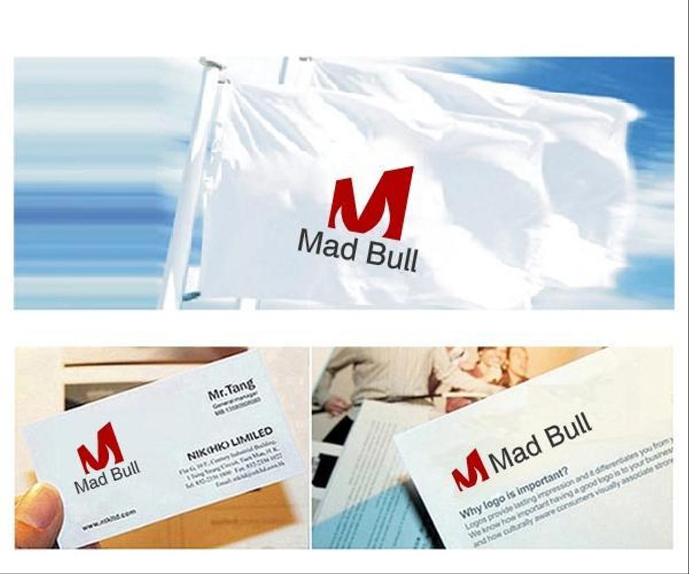 Mad Bull 1.jpg