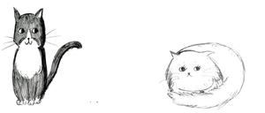 鹿椛 (maplesrp1012)さんの猫のキャラクターデザインへの提案