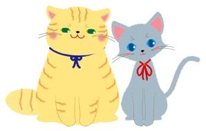 ちびきせき (chibikiseki)さんの猫のキャラクターデザインへの提案