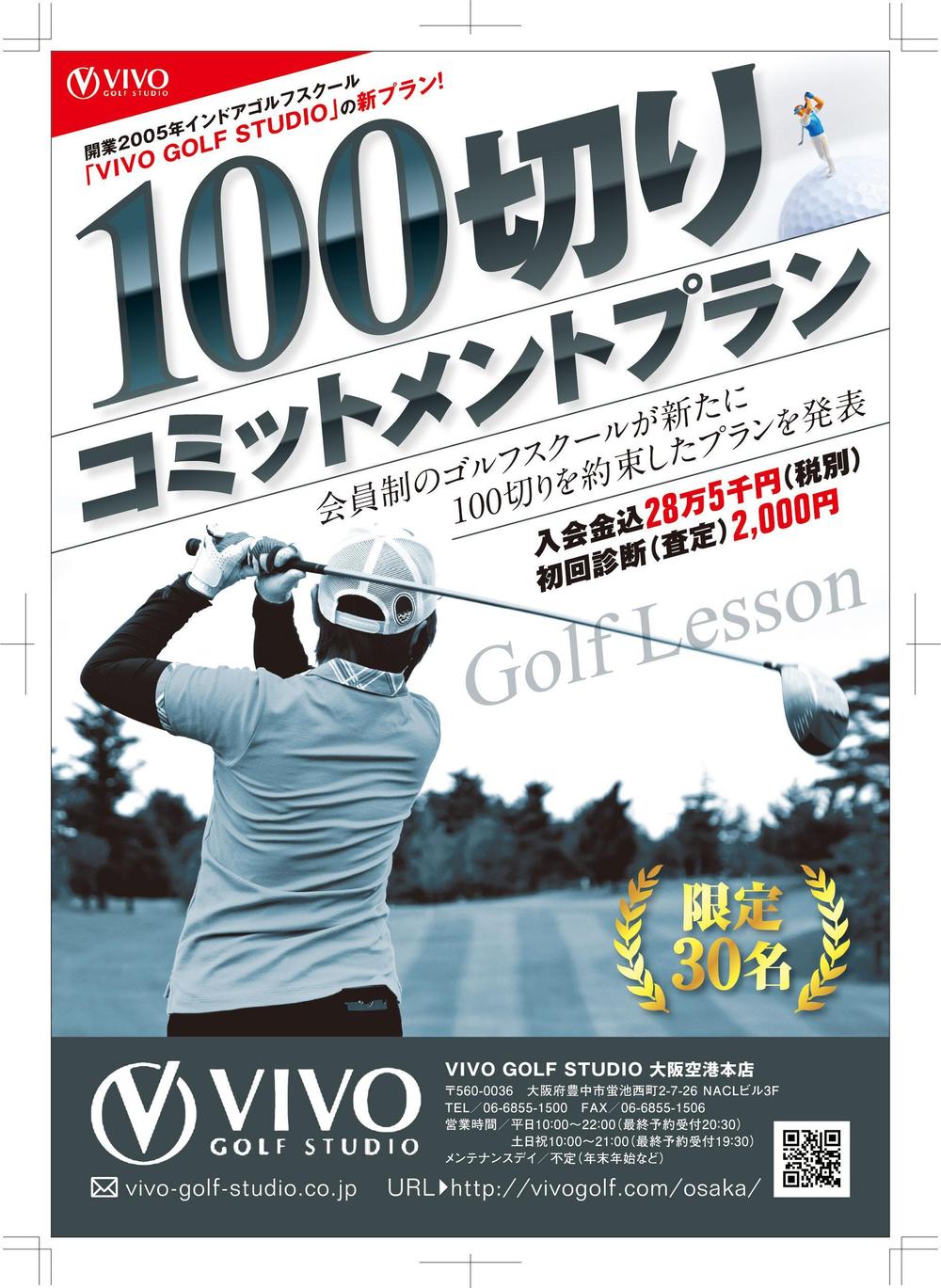 vivogolf1.jpg