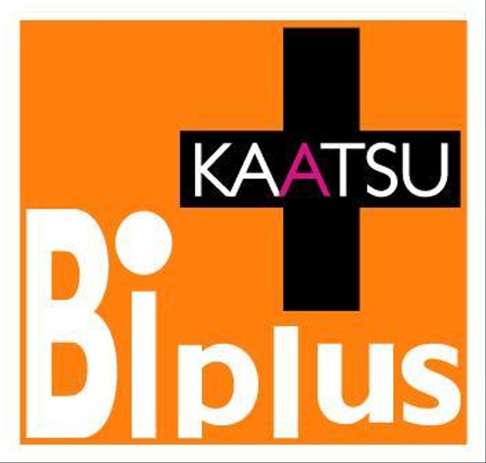 Biplus1.JPG