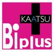 Biplus4.JPG