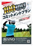 vivogolf1-3.jpg