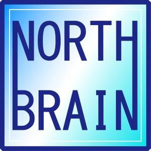 浦頭 麻季 (qu_be)さんの「NORTH BRAIN」のロゴ作成への提案