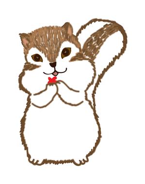 29cats (ccomengyi)さんのかわいいリスのイラストへの提案