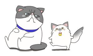 colco  (colco)さんの猫のキャラクターデザインへの提案