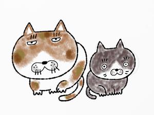 COCO屋 (Cocokarahajimeru)さんの猫のキャラクターデザインへの提案
