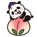 popolaさんの20代～30代の女性に受け入れられるパンダのキャラクターのイラストへの提案